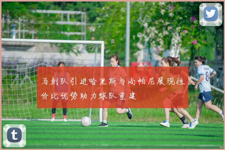 马刺队引进哈里斯与尚帕尼展现性价比优势助力球队重建