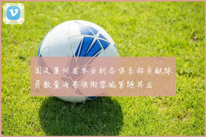 国足集训名单分析各俱乐部贡献球员数量海港领衔蓉城紧随其后