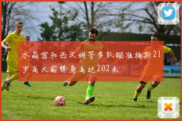 水晶宫和西汉姆等多队瞄准梅斯21岁高大前锋身高达202米